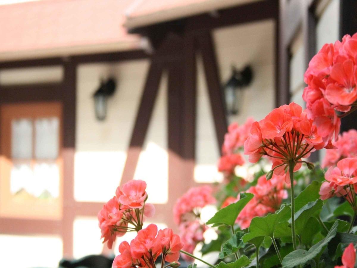 Hotel Schuetzen Bad Peterstal-Griesbach Kültér fotó